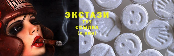 индика Ступино