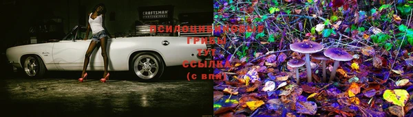 индика Ступино