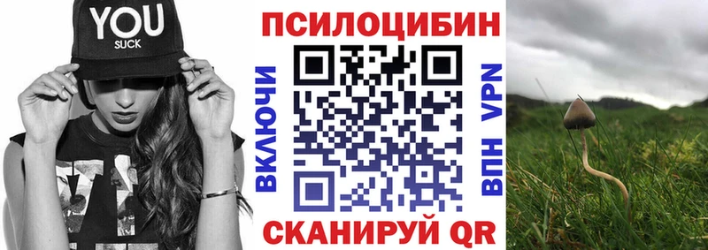 дарнет шоп  Волчанск  Галлюциногенные грибы мухоморы 